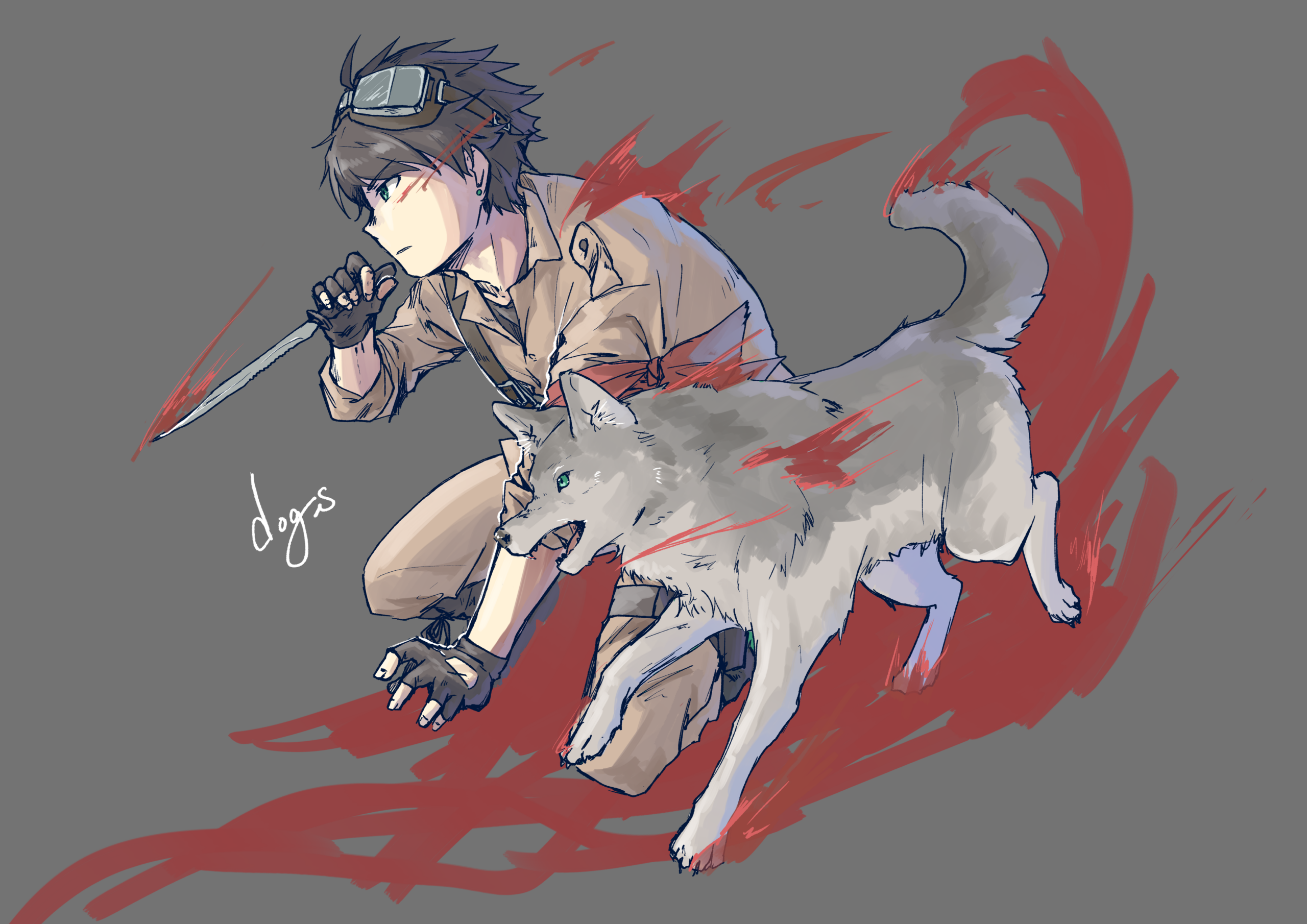 dogs